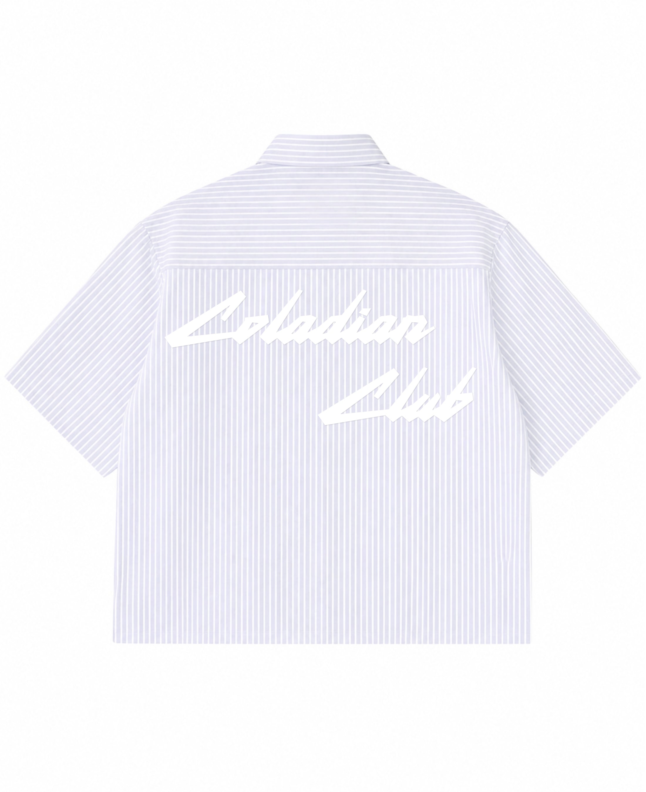 Blue Striped Oxford Boxy Shirt Back Design