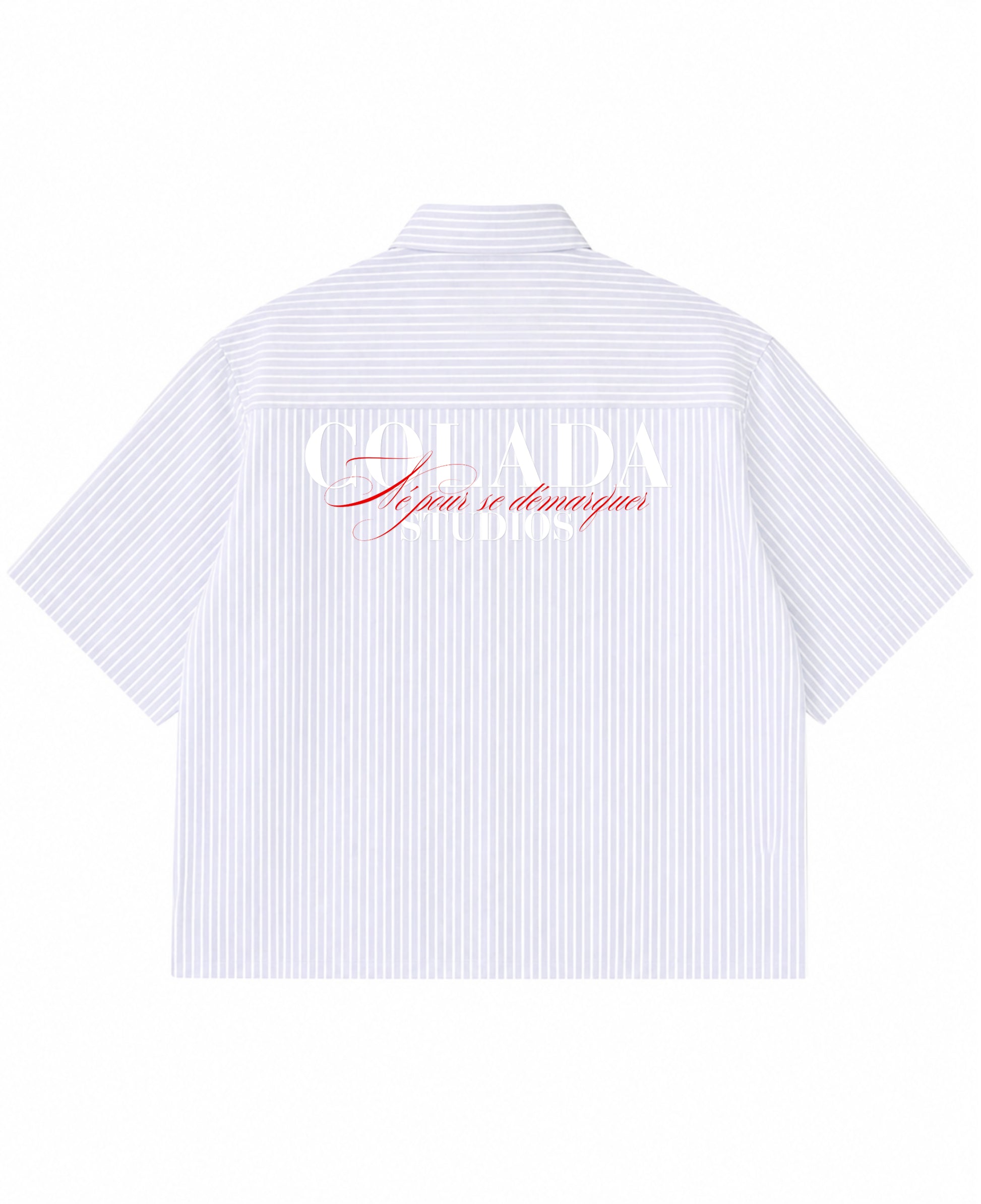 Blue Striped Oxford Boxy Shirt Back Design
