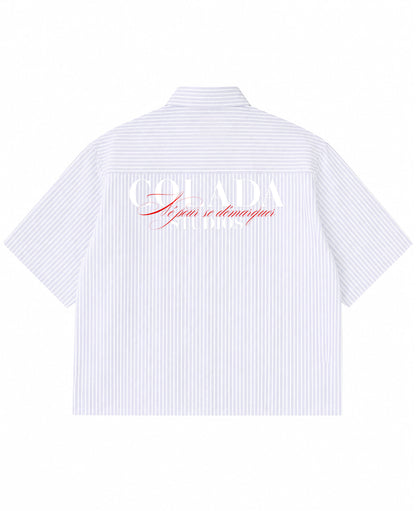 Blue Striped Oxford Boxy Shirt Back Design