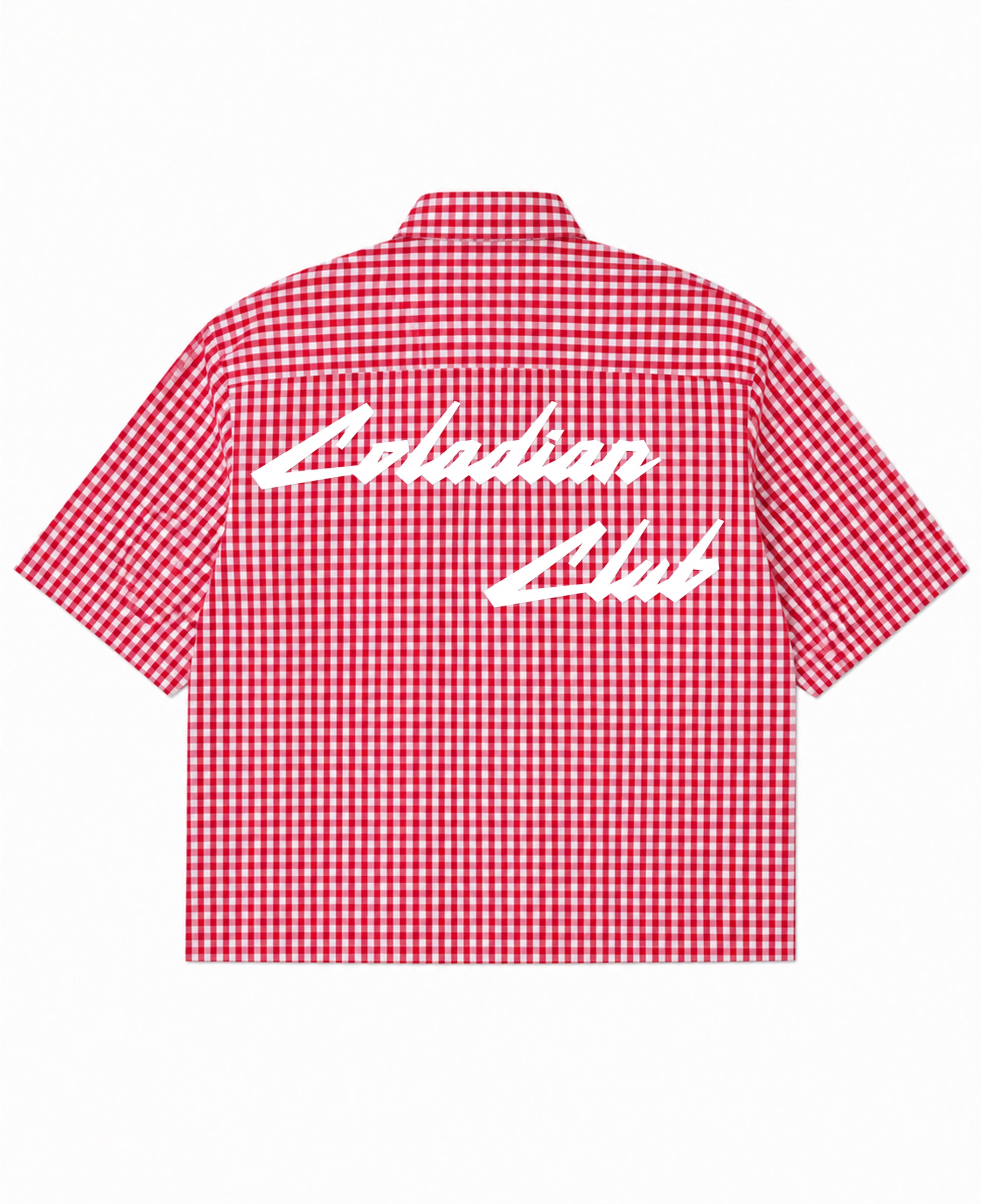 Red Picnic Oxford Boxy Shirt Back Design