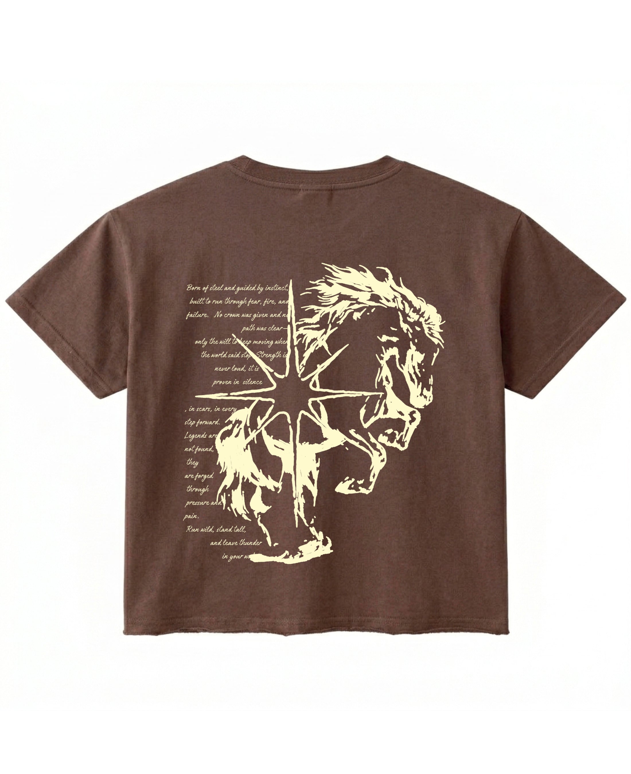 Brown Boxy Fit T-shirt Back Design