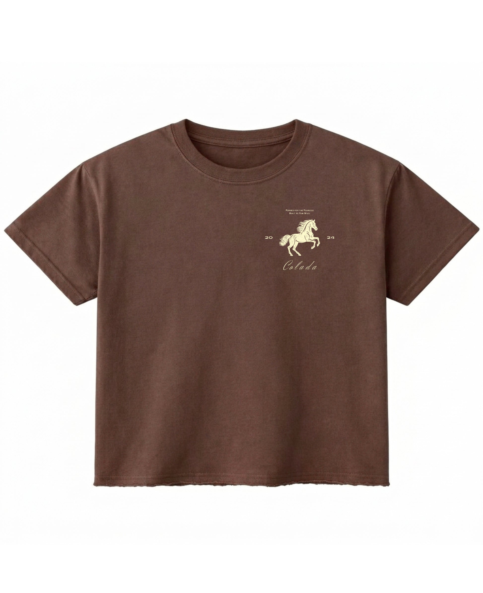 Brown Boxy Fit T-shirt Front Design