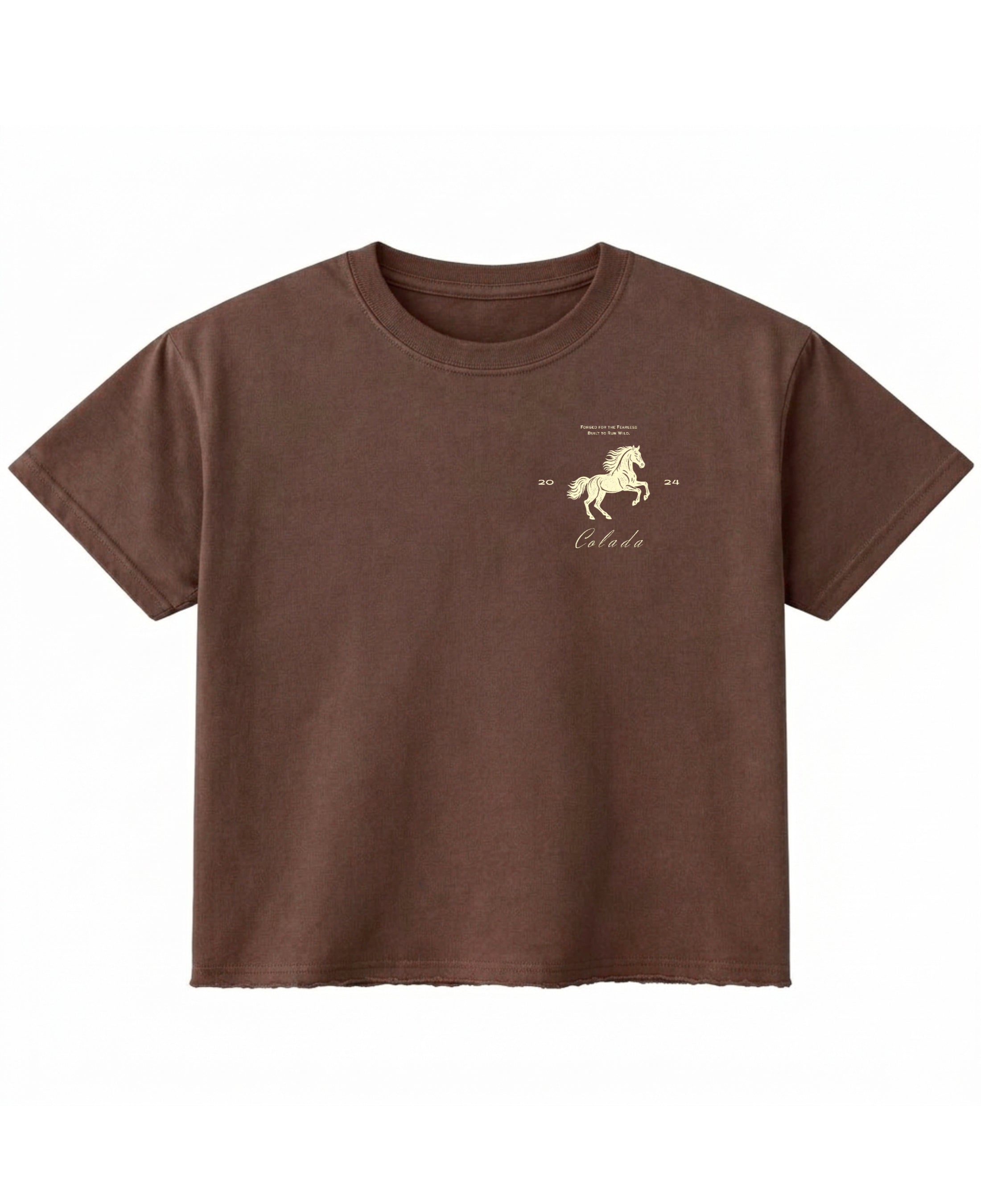 Brown Boxy Fit T-shirt Front Design